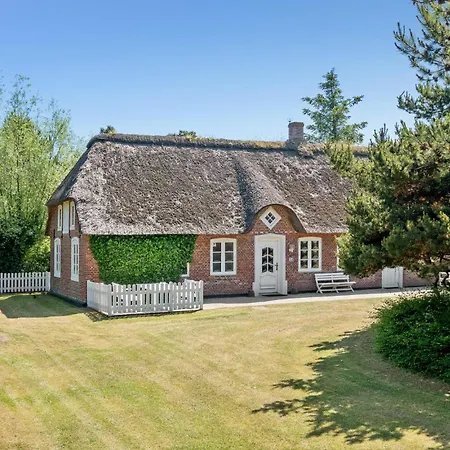 Pet Friendly In With Kitchen